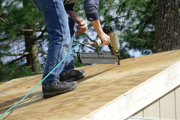 Insulation Air Sealing in Camden, AL